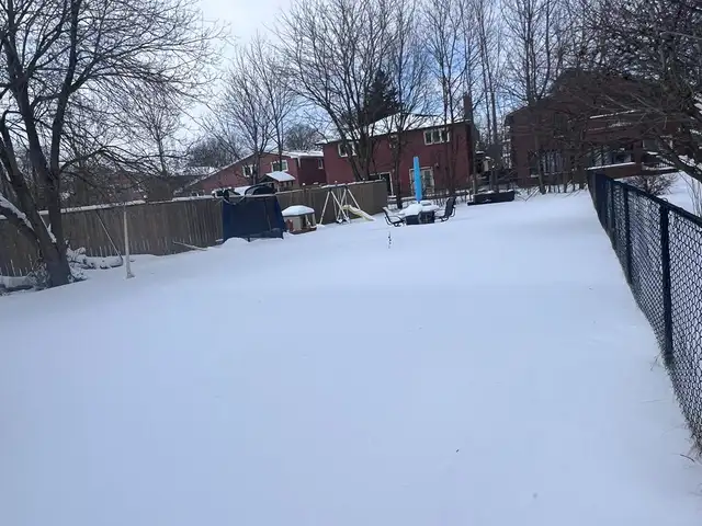 3 bedrooms apart in Main floor of a Bungalow- North York - Photo 7