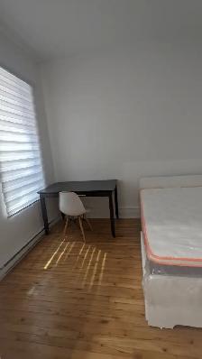 furnished 3 bedroom near McGill including utilities