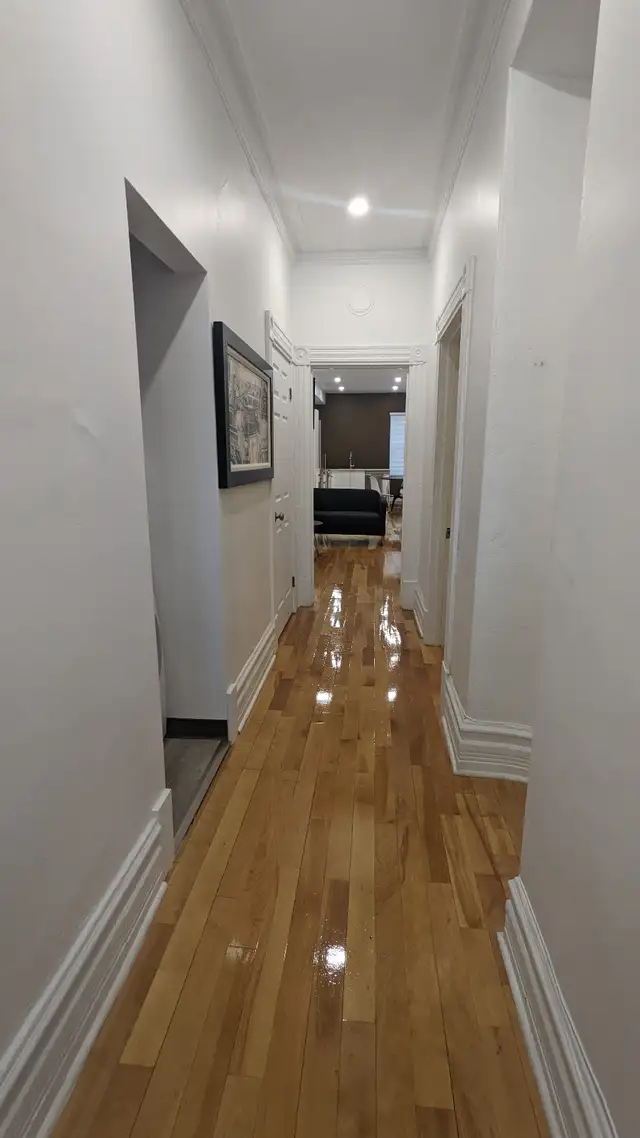 furnished 3 bedroom near McGill including utilities - Photo 3