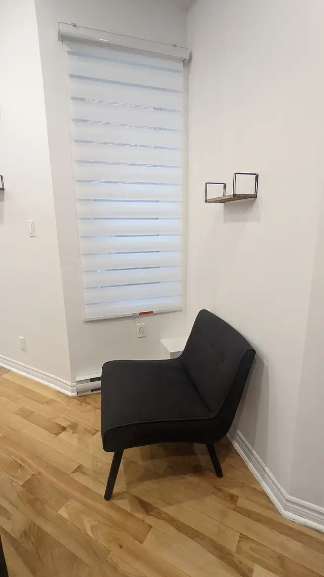 furnished 3 bedroom near McGill including utilities - Photo 8