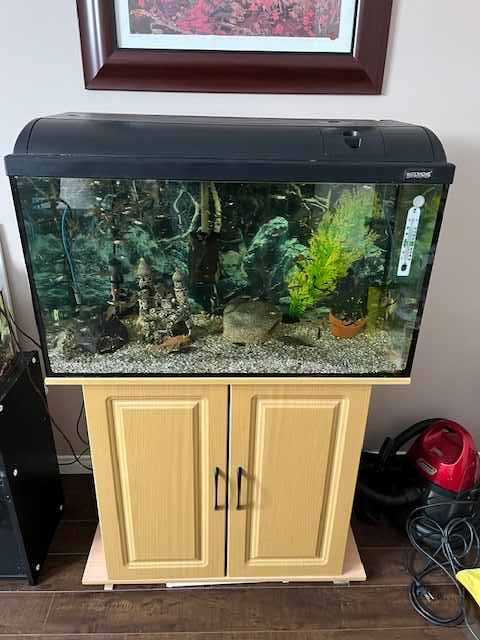 Aquariums: 3 galons, 10 gallons et 30 gallons