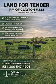 Full quarter wide open land for sale (tender)