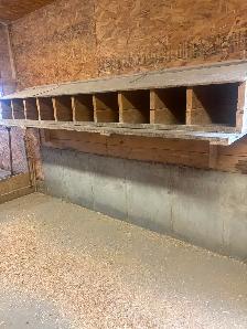 PONDOIR A POULES X 10