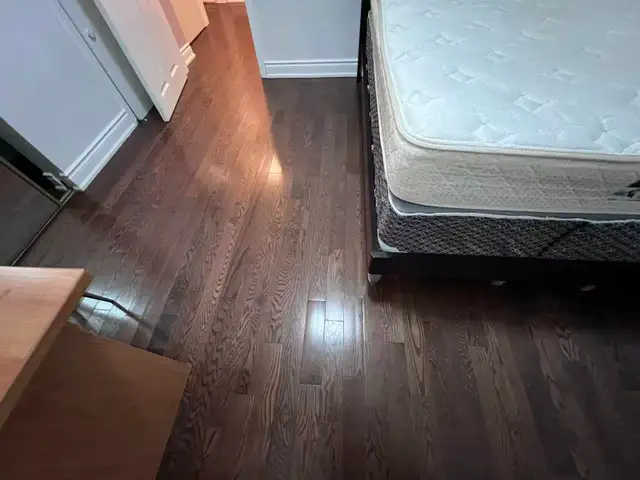 Quiet 130sqft Room on 1st Floor, Near Scarborough Town Center - Photo 3