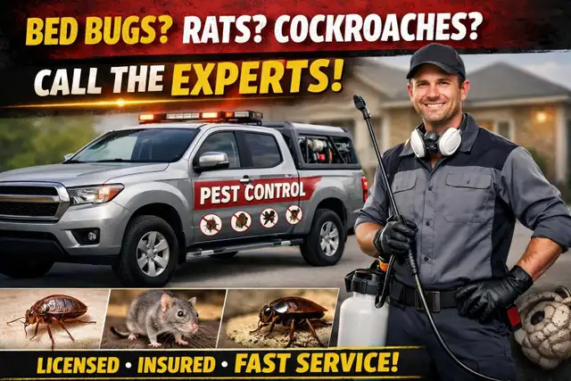 Professional Pest Control – Bedbugs, Cockroaches, Rodents