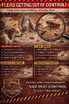 Professional Pest Control – Bedbugs, Cockroaches, Rodents - Photo 5