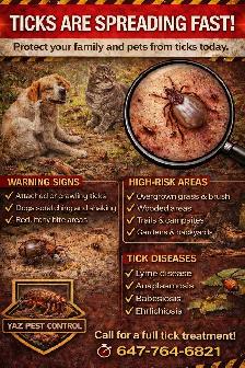 Professional Pest Control – Bedbugs, Cockroaches, Rodents - Photo 6