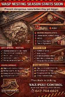 Professional Pest Control – Bedbugs, Cockroaches, Rodents - Photo 9