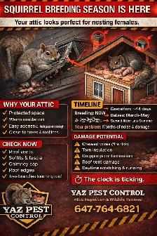 Professional Pest Control – Bedbugs, Cockroaches, Rodents - Photo 10