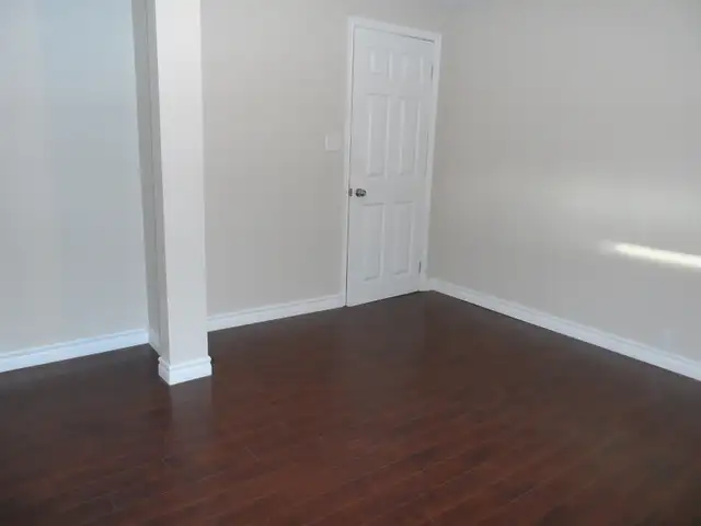 Bachelor Basement Apartment for Rent
