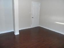 Bachelor Basement Apartment for Rent