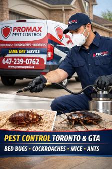 Pest Control Toronto – Bed Bug & Cockroach Extermination