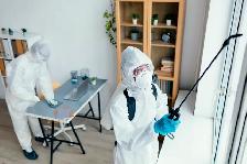 Pest Control Toronto – Bed Bug & Cockroach Extermination - Photo 3