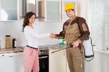 Pest Control Toronto – Bed Bug & Cockroach Extermination - Photo 4