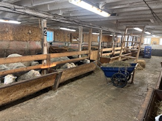 GRANGE A LOUER 42X86 PIEDS / POUR VACHE OU AUTRE - Photo 2