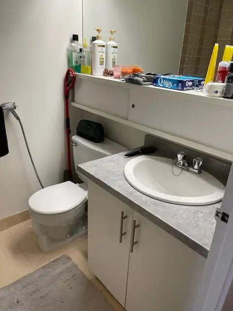 Studio Apartment Lease Transfer Available May 1st - Photo 2