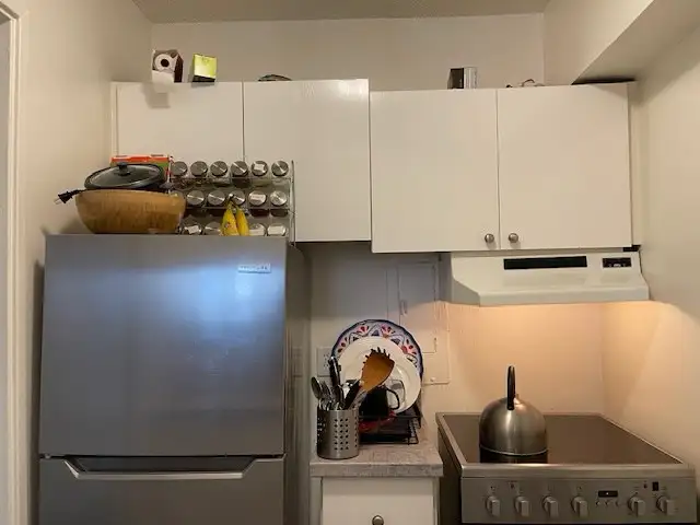 Studio Apartment Lease Transfer Available May 1st - Photo 6