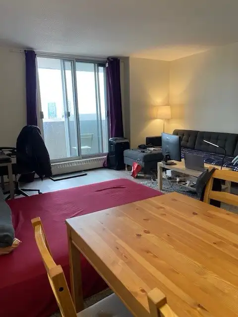 Studio Apartment Lease Transfer Available May 1st - Photo 10