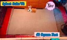 Rabbit Boarding & Training . XXL Private Rooms. 24/7 Love  Care - Photo 3