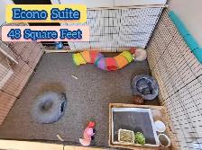 Rabbit Boarding & Training . XXL Private Rooms. 24/7 Love  Care - Photo 5