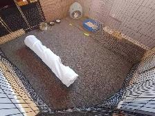 Rabbit Boarding & Training . XXL Private Rooms. 24/7 Love  Care - Photo 8