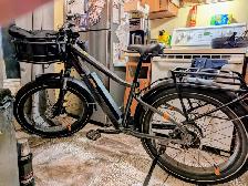 Radrover 6 plus electric assist needs work(600 obo)