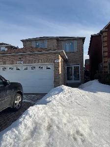 Room (Markham/Sheppard)  For 10-12h Housework