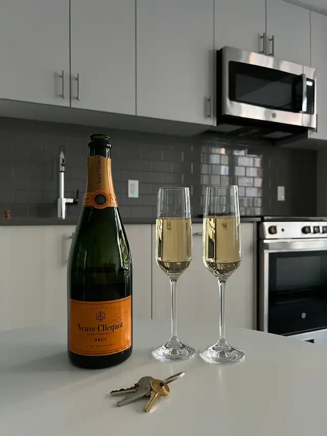 1 Bedroom Condo for Rent – Etobicoke (Toronto) - 14 APR 26 - Photo 4