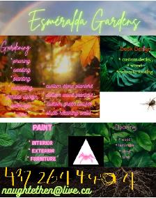 Esmerelda Paints and Contracts