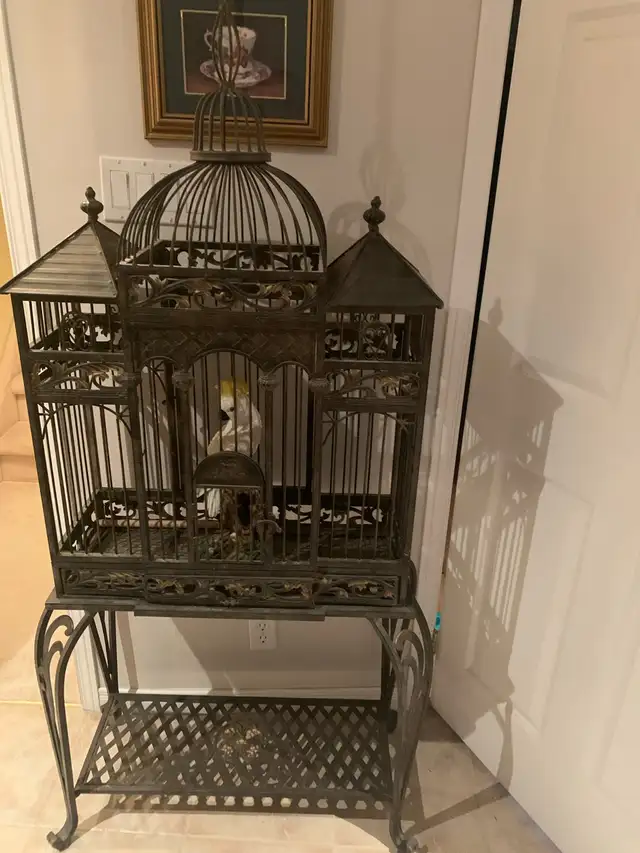 THE MOST BEAUTIFUL CAGE EVER
