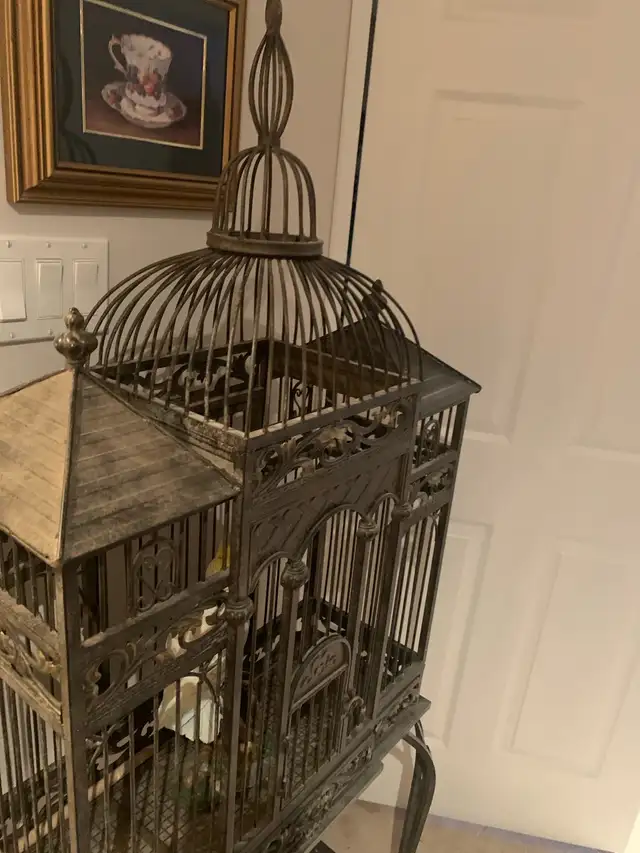 THE MOST BEAUTIFUL CAGE EVER - Photo 2