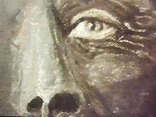 President Art - Photo 6