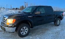 2009 Ford F150, safetied - Photo 3