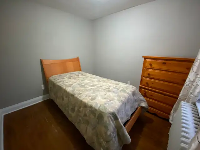 7 bedrooms available for rent to female students only - Photo 4
