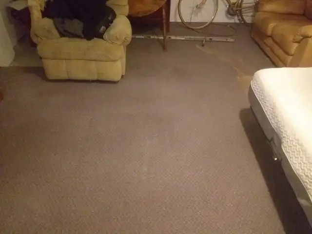 Large Bachelor Apartment for Rent Near Kipling & Rexdale ASAP - Photo 7