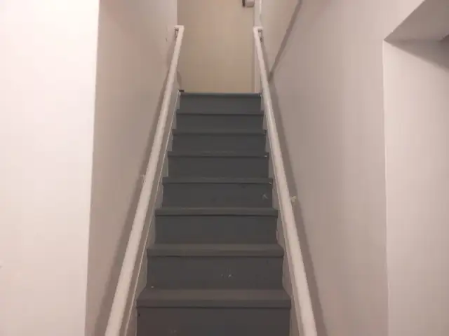 Large Bachelor Apartment for Rent Near Kipling & Rexdale ASAP - Photo 12