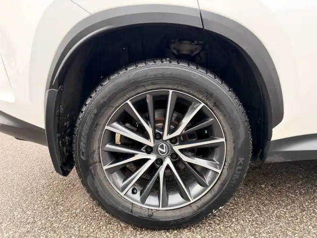 2024 Lexus NX NX 350h AWD , PREMIUM PKG, LEATHER, SUNROOF - Photo 11