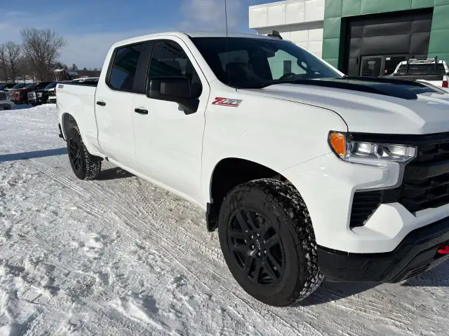 2025 Chevrolet Silverado 1500 - Photo 2