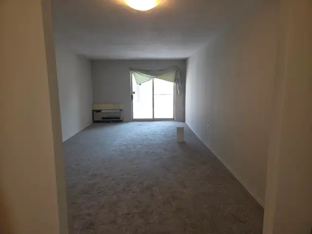 One Bedroom Apartment Condo Rental - Photo 2