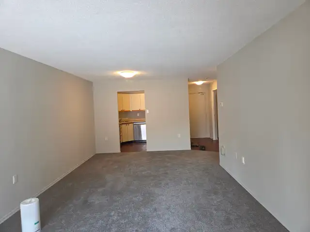 One Bedroom Apartment Condo Rental - Photo 3