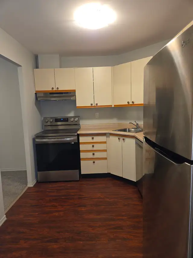 One Bedroom Apartment Condo Rental - Photo 4