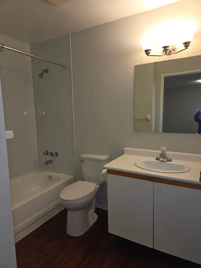 One Bedroom Apartment Condo Rental - Photo 6