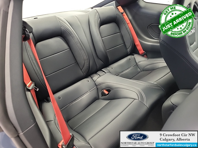 2025 Ford Mustang GT Premium - Photo 13