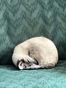 2008 Ford Edge Limited - Photo 7