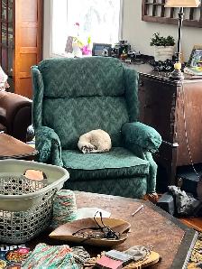 2008 Ford Edge Limited - Photo 8