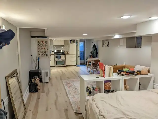 Basement Studio (Bloor / Dufferin) Pet Friendly - Photo 3