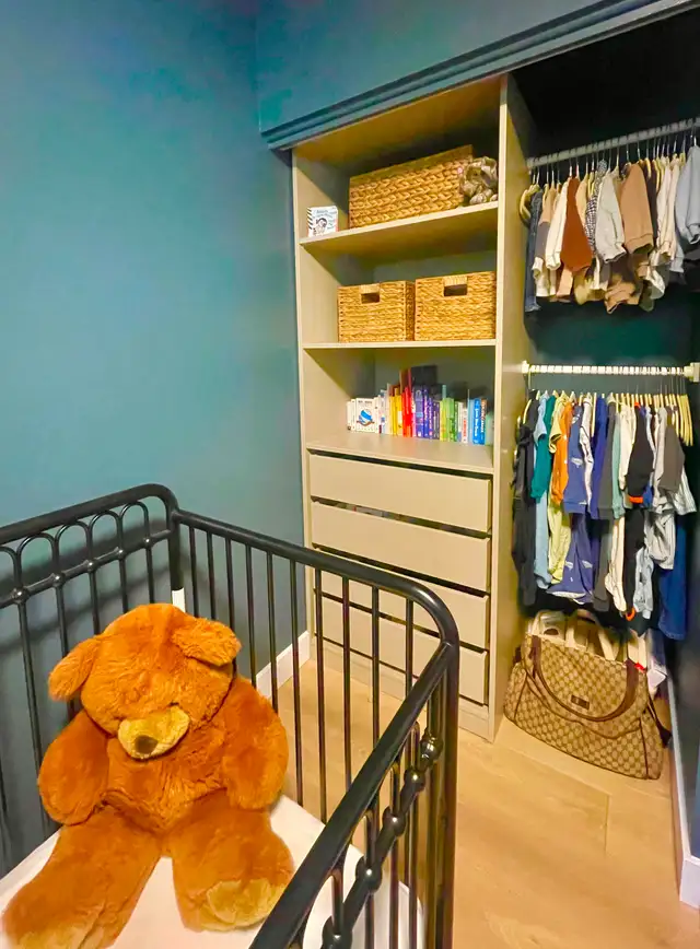 Home organizing promo 10% off! Light At The End Of The Clutter - Photo 8