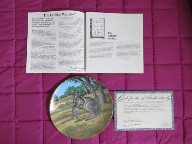 BRIDLED WALLABY COLLECTOR PLATE