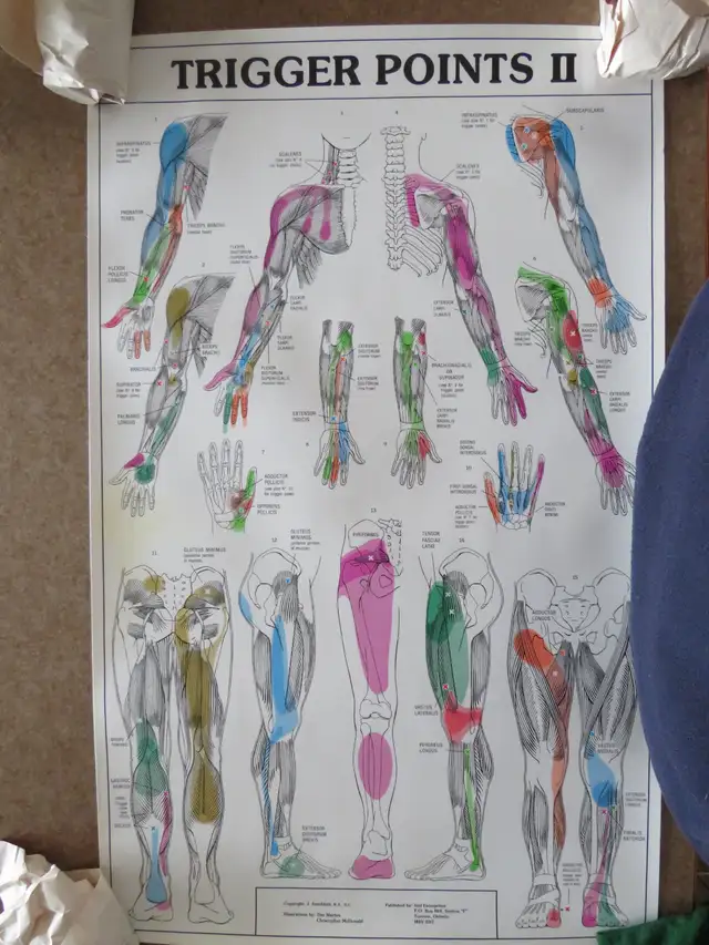 TRIGGER POINT CHARTS