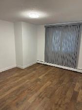 Large 1 BDRM in Old Strathcona! S.Facing Balcony, Renovated!!